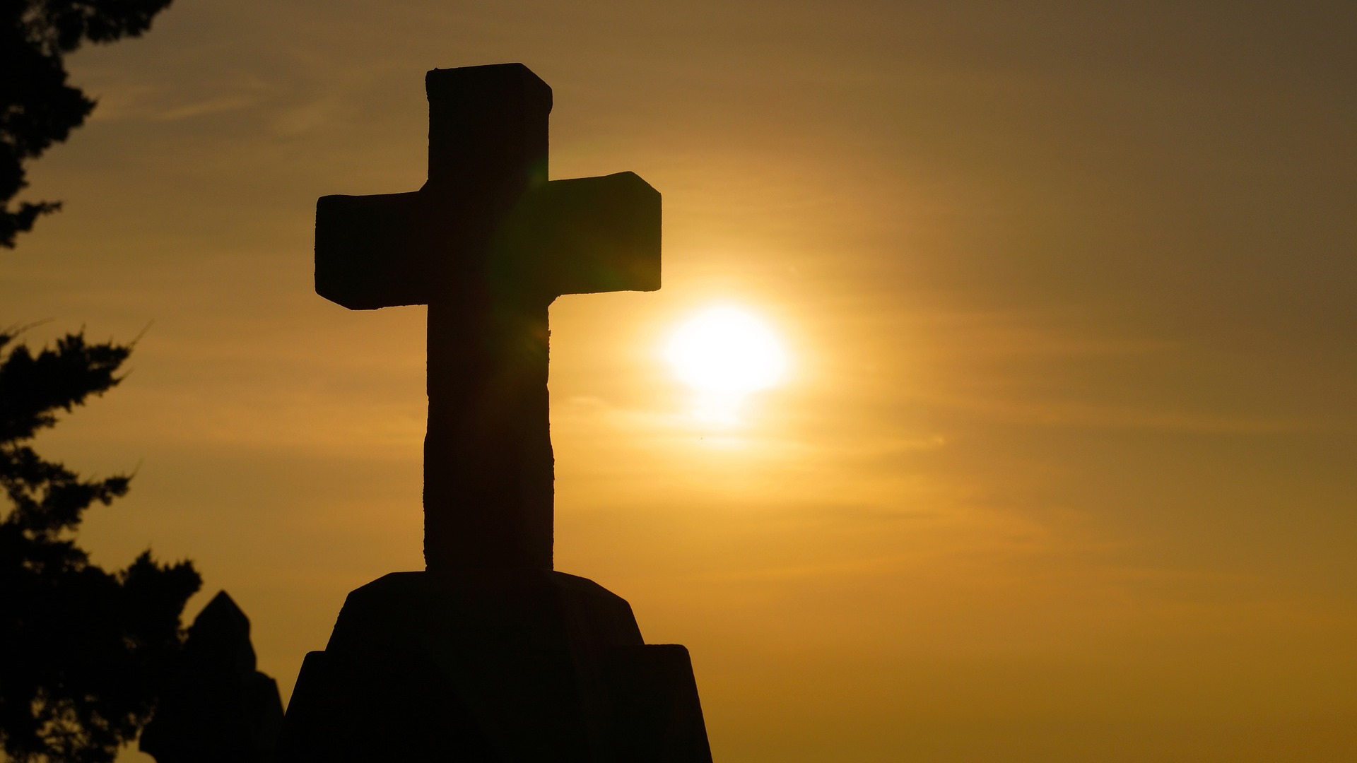 Il Perdono nell'insegnamento di Gesù: 7 passi del Vangelo alla scoperta del Perdono (prima parte)