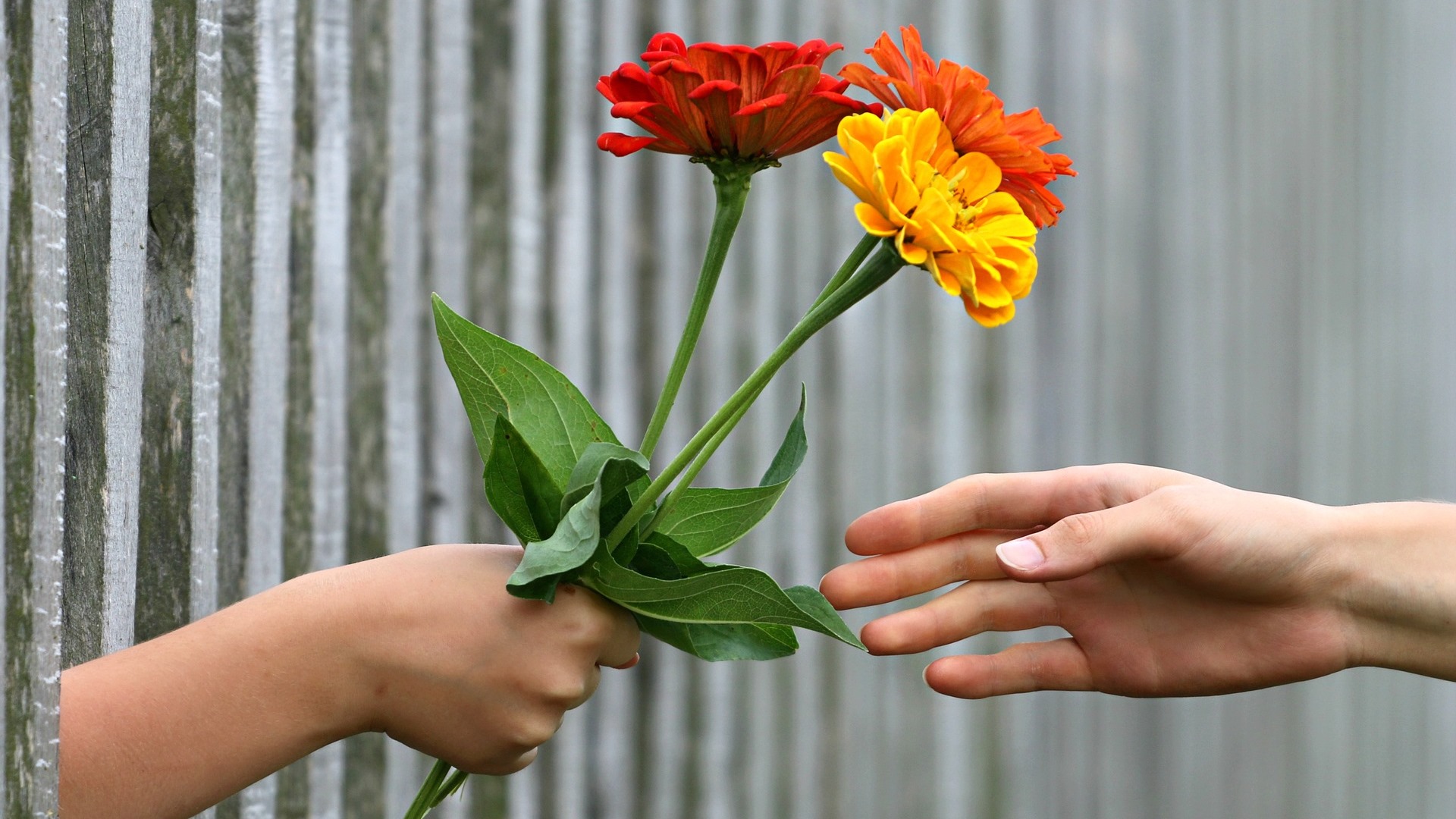 Come accettare i complimenti